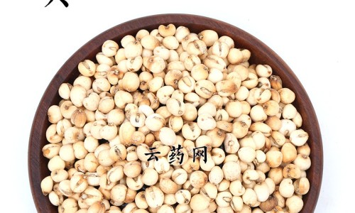猫咪克痢肽和安痢肽的功效与作用网克痢肽小猫一次吃多少知识网站,分享猫用克痢肽副作用大全
